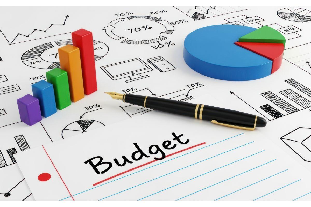 Analysis charts, percentages and budget written